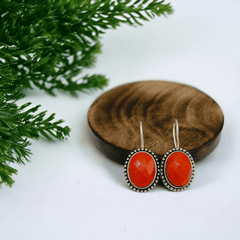 Trendy Stone Oxidized Hook Earring