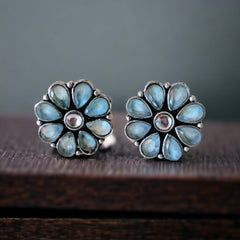 Oxidised Stud Earrings